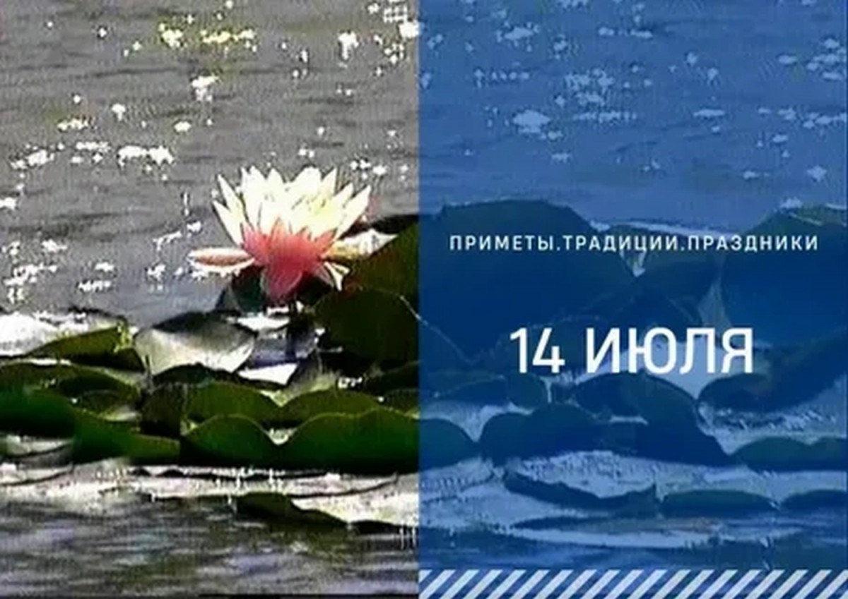 Приметы на 14 июля: что можно и нельзя делать на Летние Кузьминки Приметы на 14 июля: что можно и нельзя делать на Летние Кузьминки