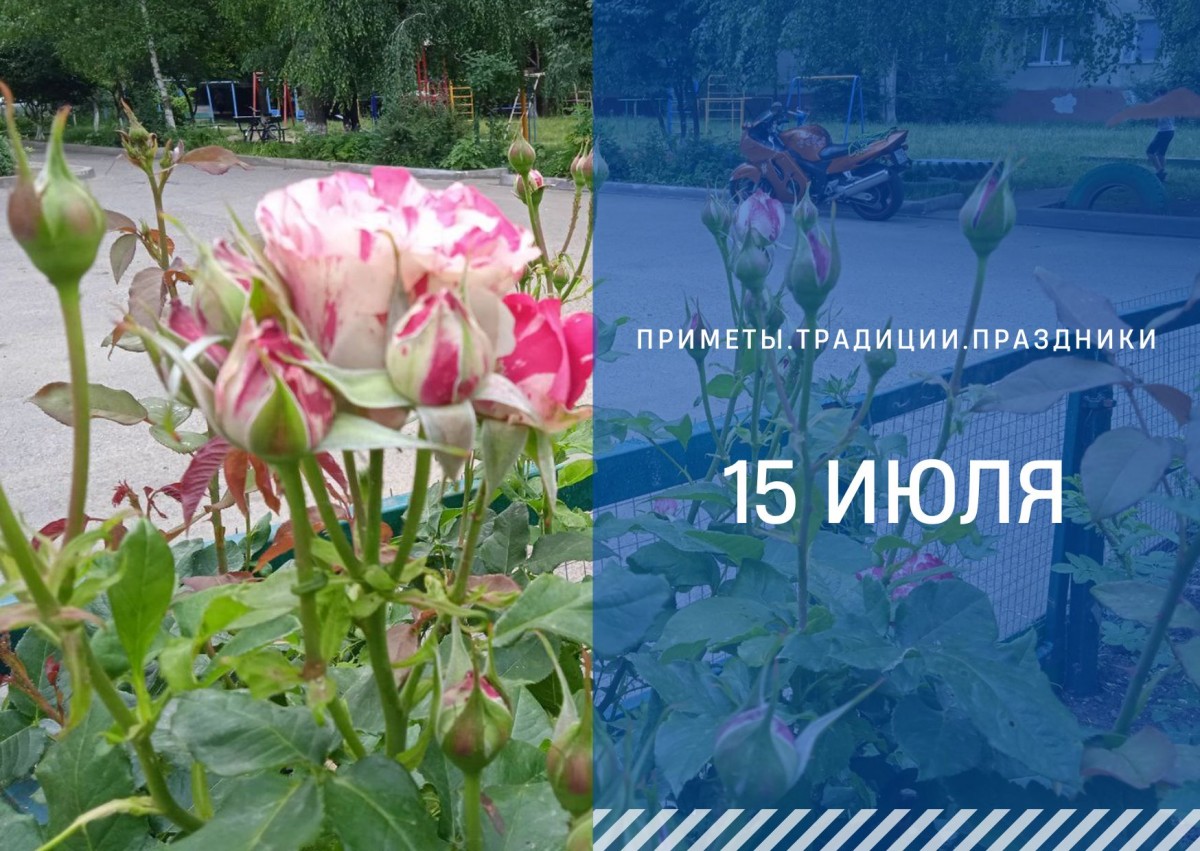 Приметы на 15 июля: что можно и нельзя делать на Берегиню Приметы на 15 июля: что можно и нельзя делать на Берегиню