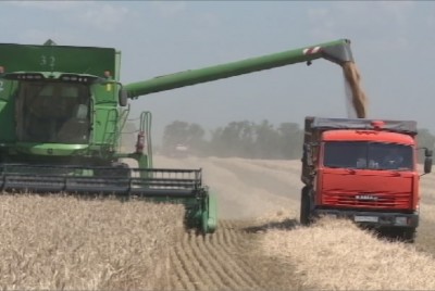 Хлебный каравай Ставрополья продолжает набирать вес