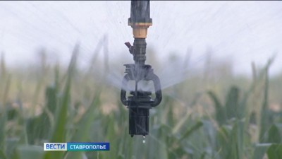 На развитие мелиорации на Ставрополье направят более миллиарда рублей