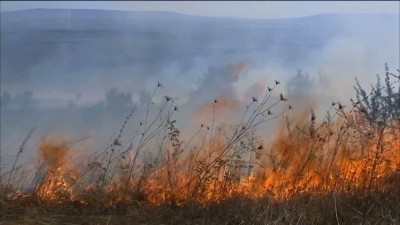 Количество ландшафтных пожаров на Ставрополье увеличилось в разы
