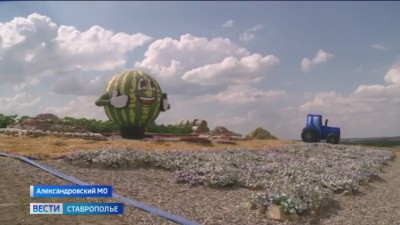 На Ставрополье начался  арбузно-дынный сезон
