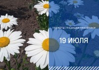 Приметы на 19 июля: что можно и нелья делать на Сысоев день