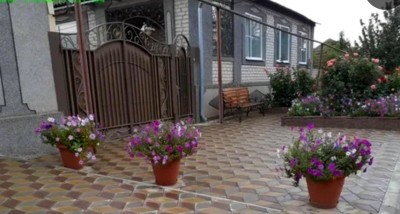 Фестиваль цветников стартует в Ставрополе