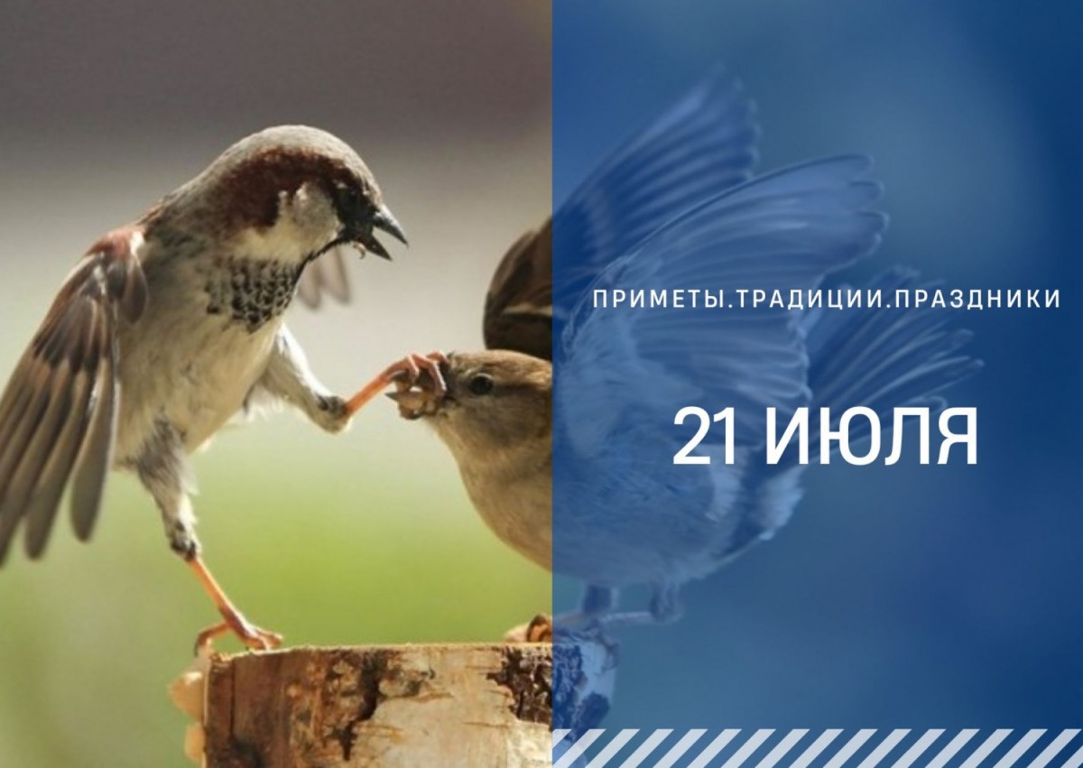 Приметы на 21 июля: что можно и нельзя делать на Прокопьев день Приметы на 21 июля: что можно и нельзя делать на Прокопьев день