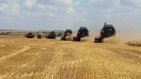 Экватор жатвы на Ставрополье преодолён Экватор жатвы на Ставрополье преодолён