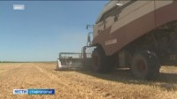 Ситуация на топливном рынке Ставрополья постепенно улучшается Ситуация на топливном рынке Ставрополья постепенно улучшается
